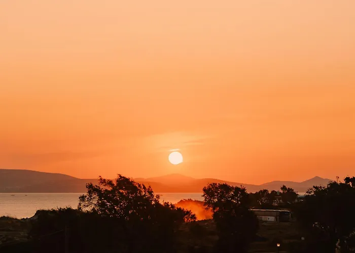 Michaella Апартаменты