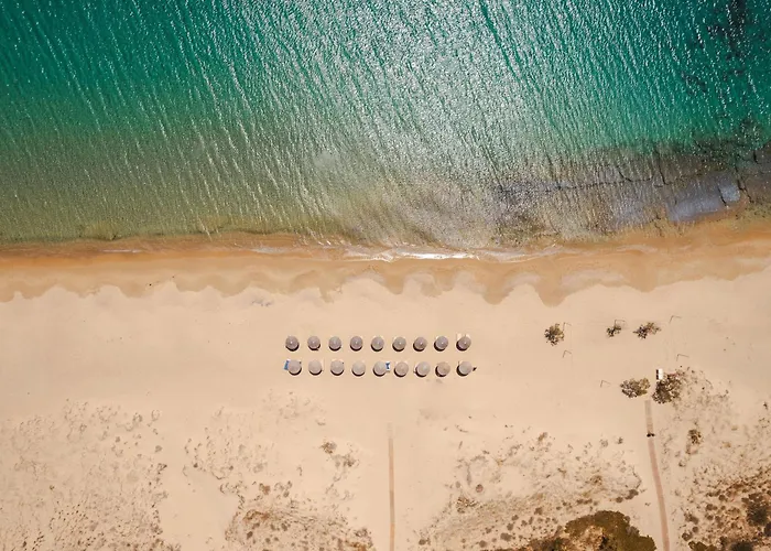 Michaella * Плака