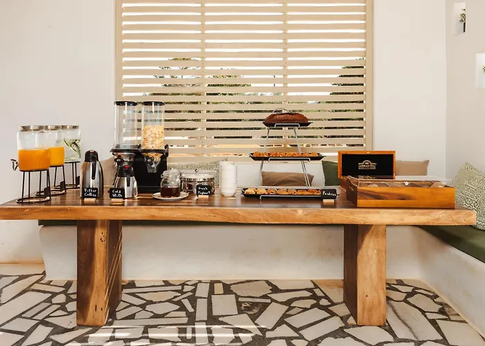 Michaella Плака